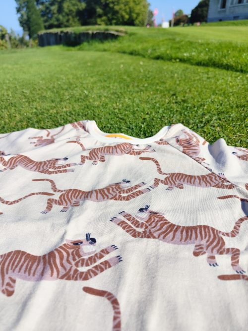 T-shirt à plat manches courtes raglan tiger tales avec un motif tigre couleur ocre sur fond beige